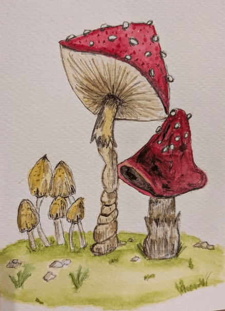 mushrooms